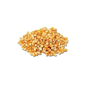 Maïs Pop corn 500 g