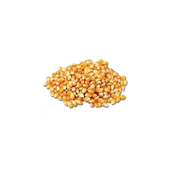 Maïs Pop corn 500 g