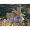 2 Box nature Grain Pop [10 sachets]- Popcorn micro-ondables - grain de maïs