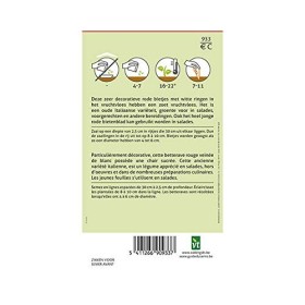 Betterave rouge Chioggia Graines - Chair sucrée