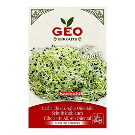 GEO Graines à Germer - Ciboulette Ail - Graines à Cultiver Bio pour Salades et Plats avec Germination Rapide pour Culture en 