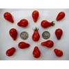 VISA STORE Poire rouge - Graines de tomate biologique - en forme de poire cerise - 40 graines