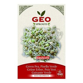GEO Graines à Germer - Pois vert - Graines à Cultiver Bio pour Salades et Plats avec Germination Rapide pour Culture en Germo
