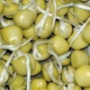 GEO Graines à Germer - Pois vert - Graines à Cultiver Bio pour Salades et Plats avec Germination Rapide pour Culture en Germo