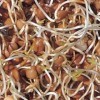 GEO Graines à Germer - Lentille - Graines à Cultiver Bio pour Salades et Plats avec Germination Rapide pour Culture en Germoi