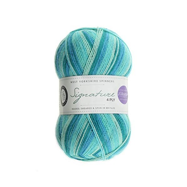 West Yorkshire Spinners Signature 4ply Winwick Mum Collection Summer Sunset 100g