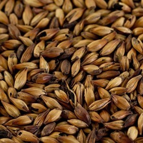 Caraaroma® Malt de Caramel pour bière brune EBC 300-400 1 kg
