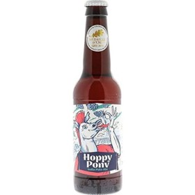BIERE - DORVILLE HOPPY PONY 33CL