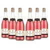 SantOrsola Lambrusco Emilia I.G.T. Rose Frizzante Sec Vin Petillant Italien Set de 6 Bouteilles x 75 cl