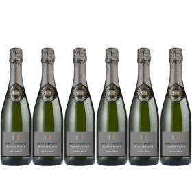 Brut Dargent Blanc de Blancs Extra-Brut - Vin Effervescent Chardonnay Blanc de Blancs Extra-Brut - Méthode traditionnelle - O