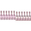 Brut Dargent Ice Pinot Noir - Vin effervescent Rosé Demi-Sec 6 x 0,20 L & Vin effervescent Brut Rosé Pinot Noir 6 x 0.20 L