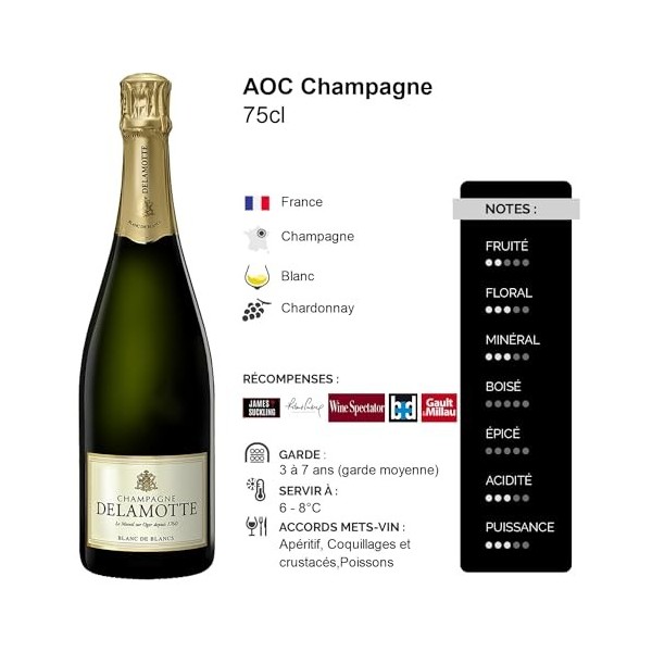 Champagne Blanc de Blancs Brut - Blanc - Champagne Delamotte 75cl 