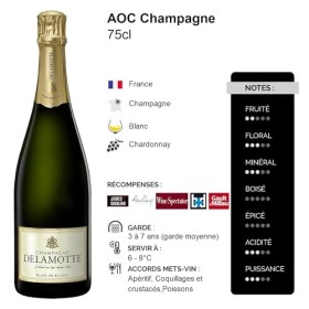 Champagne Blanc de Blancs Brut - Blanc - Champagne Delamotte 75cl 