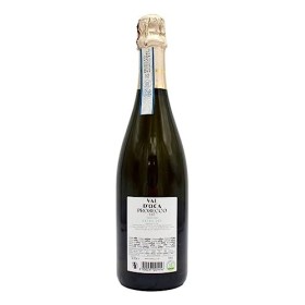 Val Doca - PROSECCO TREVISO DOC EXTRA DRY 75CL - Produit artisanal italien