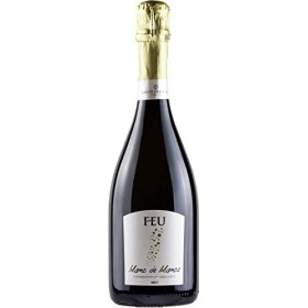 Orestiadi Feu Spumante Blanc de Blancs Brut