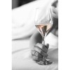 Brut Dargent Vin effervescent Brut Rosé Pinot Noir Magnum - Méthode traditionnelle 1 x 1,5 L 