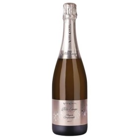 Vite Colte Alta Langa Cinquecento Brut 2017