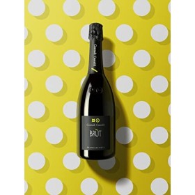 FRANCIACORTA BRUT DOCG 75 CL