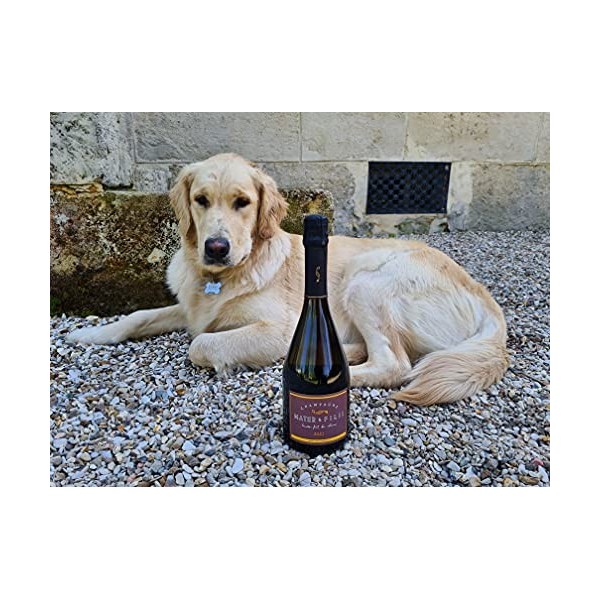 Cuvée Coeur de vallée Mater & Filii