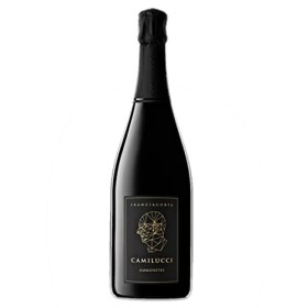 Camilucci Franciacorta Ammonites Brut Nature