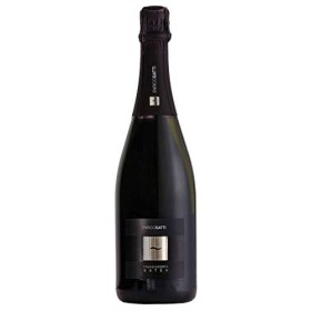 Enrico Gatti Franciacorta Satèn 2016