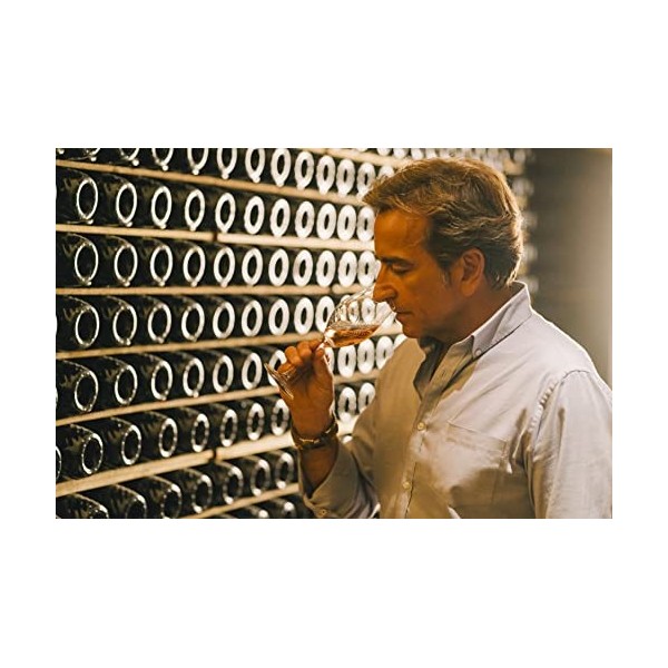 Codorniu Cava Brut Rose "Anna de Codorniu" D.O. 0.75 L