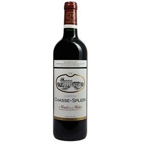 Château Chasse-Spleen - Moulis-en-Médoc - Vin Rouge 750 ml