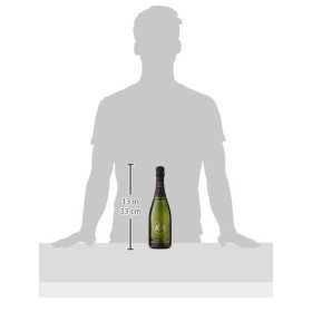 Barons de Rothschild Coffret Cadeau Champagne Blanc de Blancs 750 ml