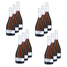 Lot 12x Vin mousseux Saumur brut - AOC - Loire - Bouteille 750ml
