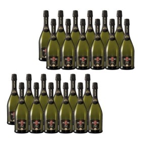 Martini Brut - Vin Pétillant - Lot de 24