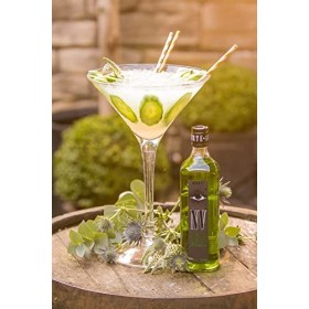 LA FEE NV - Envy - 40% Alcool - Absinthe verte - Origine : France - Bouteille 70 cl