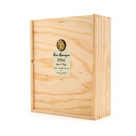 Bas Armagnac Hors d âge + 2 verres Delord - 70cl