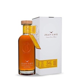 JEAN CAVÉ ARMAGNAC EXPERIENCE 2009 70 cl
