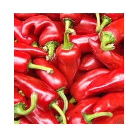 GRAINES DE PIMENT-SUCETTE DE PROVENCE