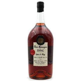 Bas Armagnac Hors d âge Delord - 250cl