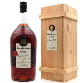 Armagnac Delord 1981 - Pot Gascon - 250cl