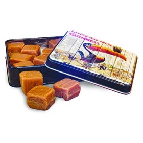 Bo�te cadeau de Fudge Guinness avec le design du toucan sur la girouette, 100 g