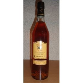 Cognac Napoleon Grande Champagne Gilles Brisson 70CL 40