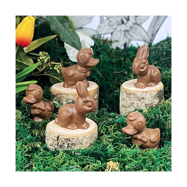 LOT DE 5 CHOCOLAT DE PAQUES - MINI SUJET DE PAQUES 15G X5 - LAPIN POULE OEUFS CLOCHE - CHOCOLAT DE PAQUES - GOURMANDISES DE P