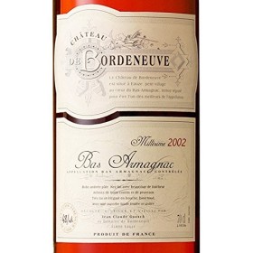 CHÂTEAU DE BORDENEUVE ARMAGNAC MILLÉSIMÉ 2002 70 CL