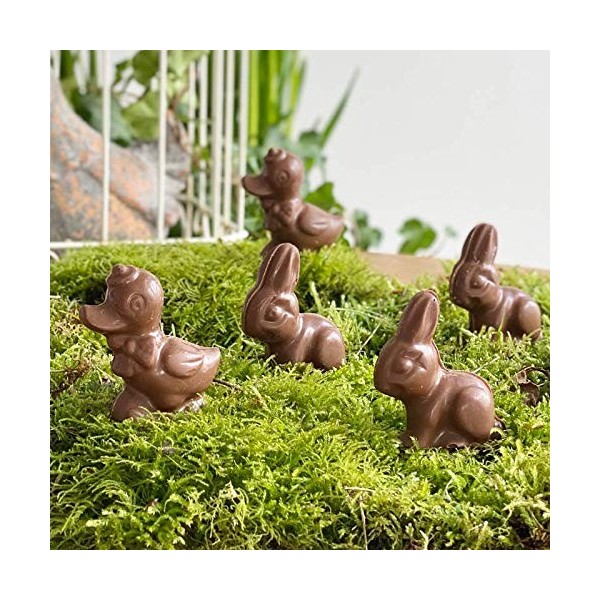 LOT DE 5 CHOCOLAT DE PAQUES - MINI SUJET DE PAQUES 15G X5 - LAPIN POULE OEUFS CLOCHE - CHOCOLAT DE PAQUES - GOURMANDISES DE P