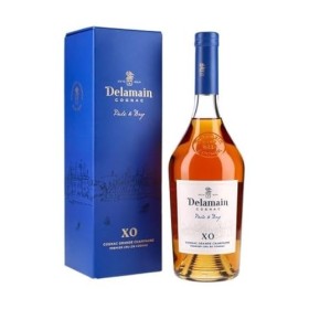 Delamain Cognac Pale & Dry Xo 42° Etui