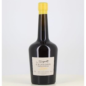 Magnum calvados Pays dAuge Dupont 20 ans 42°