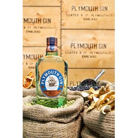 PLYMOUTH Gin - 41,2%, 70cl