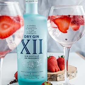 DRY GIN XII - Distilleries Et Domaines De Provence - Distillé Artisanalement - 12 Plantes Et Épices - Produit De France - Bou