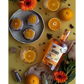 Antidote Gin Orange de Corse - Qualité Premium - Produit en France à partir de raisins français - 17 plantes aromatiques, 5 d