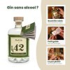 NoGin 42 - Lalternative au gin sans alcool avec les épices originales du Gin 42 | jnpr | Sans sucre | Compagnon idéal pour l