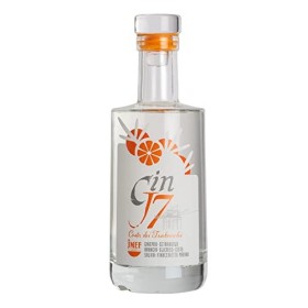 GIN J7 COSTA – Gin botanique haut de gamme aux oranges sauvages de la Méditerranée – Goût dagrumes incroyable - 200 ML
