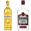 Valauria Vin Doux Muscat De Rivesaltes 1 L & Gibson Gin London Dry 70 cl