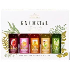 Thoughtfully Cocktails, Premium Gin Cocktail - Mélanges pour Gin - Coffret Cadeau, 70 mL chacun, Lot de 5 Sans alcool 